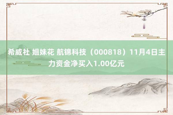 希威社 姐妹花 航锦科技（000818）11月4日主力资金净买入1.00亿元