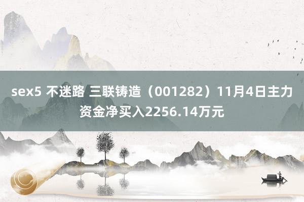 sex5 不迷路 三联铸造（001282）11月4日主力资金净买入2256.14万元