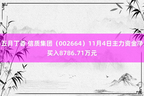 五月丁香 信质集团（002664）11月4日主力资金净买入8786.71万元