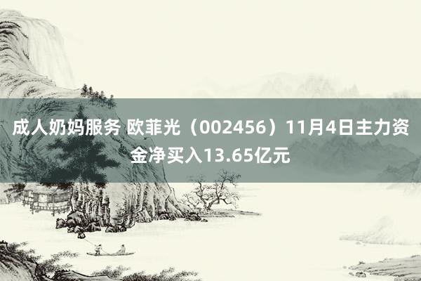 成人奶妈服务 欧菲光（002456）11月4日主力资金净买入13.65亿元