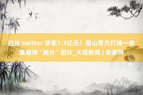 白丝 twitter 涉案1.3亿元！霍山警方打掉一收集赌博“跑分”团伙_大皖新闻 | 安徽网