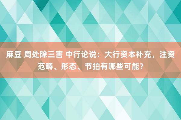 麻豆 周处除三害 中行论说：大行资本补充，注资范畴、形态、节拍有哪些可能？