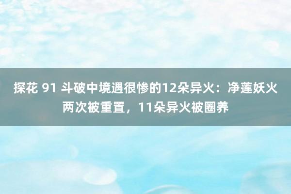 探花 91 斗破中境遇很惨的12朵异火：净莲妖火两次被重置，11朵异火被圈养