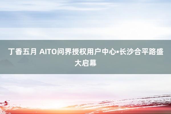 丁香五月 AITO问界授权用户中心•长沙合平路盛大启幕