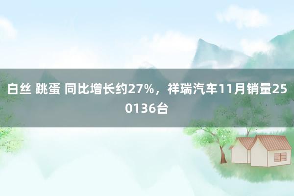 白丝 跳蛋 同比增长约27%，祥瑞汽车11月销量250136台