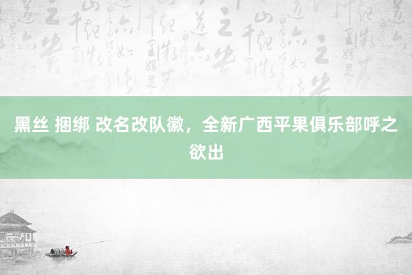 黑丝 捆绑 改名改队徽，全新广西平果俱乐部呼之欲出