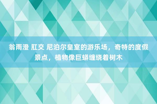 翁雨澄 肛交 尼泊尔皇室的游乐场，奇特的度假景点，植物像巨蟒缠绕着树木