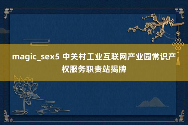 magic_sex5 中关村工业互联网产业园常识产权服务职责站揭牌