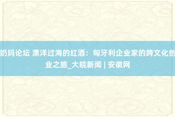 奶妈论坛 漂洋过海的红酒：匈牙利企业家的跨文化创业之旅_大皖新闻 | 安徽网