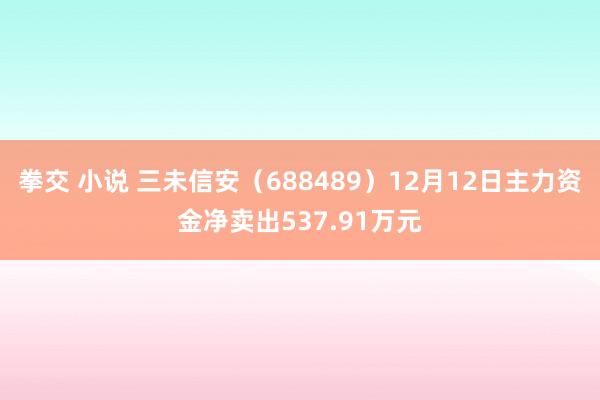 拳交 小说 三未信安（688489）12月12日主力资金净卖出537.91万元