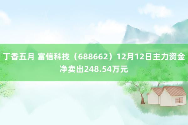 丁香五月 富信科技（688662）12月12日主力资金净卖出248.54万元