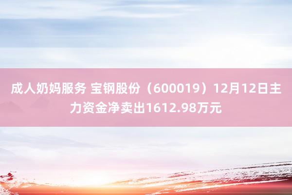 成人奶妈服务 宝钢股份（600019）12月12日主力资金净卖出1612.98万元