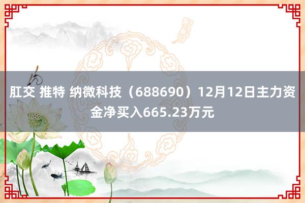 肛交 推特 纳微科技（688690）12月12日主力资金净买入665.23万元