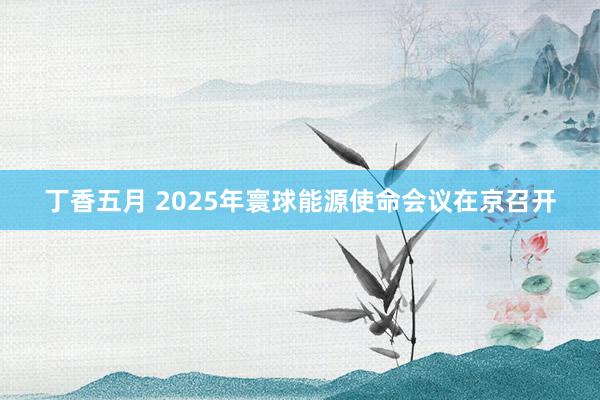 丁香五月 2025年寰球能源使命会议在京召开