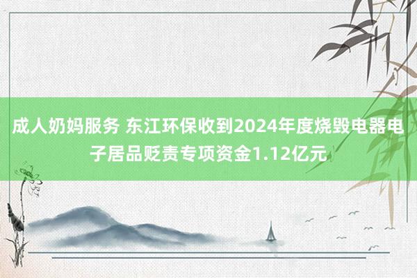 成人奶妈服务 东江环保收到2024年度烧毁电器电子居品贬责专项资金1.12亿元