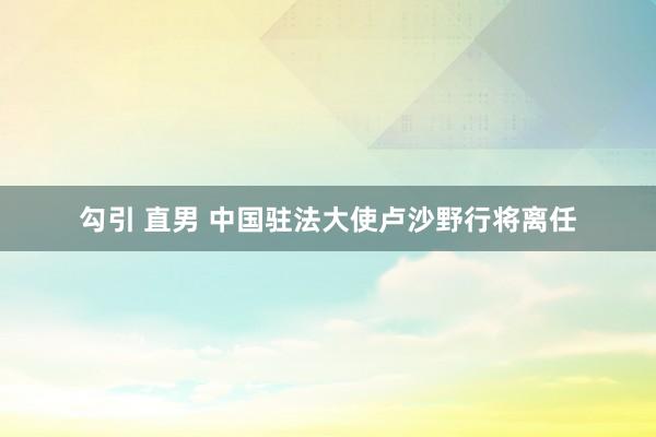 勾引 直男 中国驻法大使卢沙野行将离任