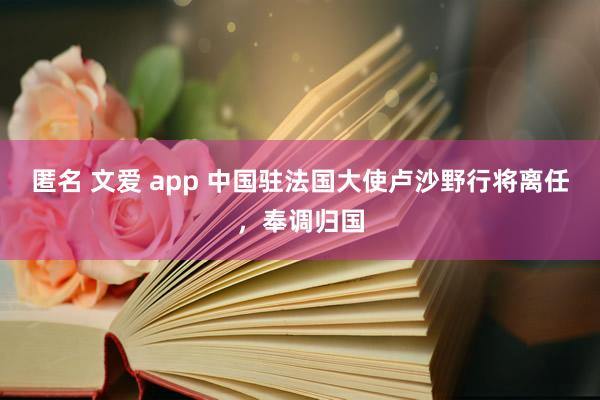 匿名 文爱 app 中国驻法国大使卢沙野行将离任，奉调归国