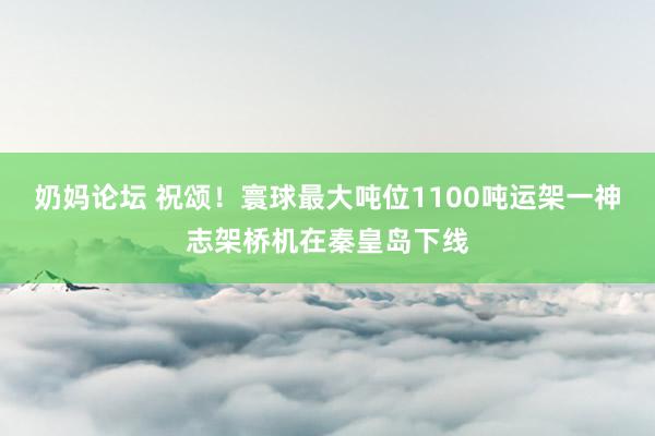 奶妈论坛 祝颂！寰球最大吨位1100吨运架一神志架桥机在秦皇岛下线