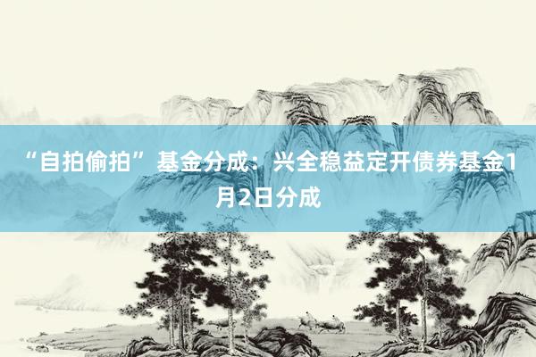 “自拍偷拍” 基金分成：兴全稳益定开债券基金1月2日分成