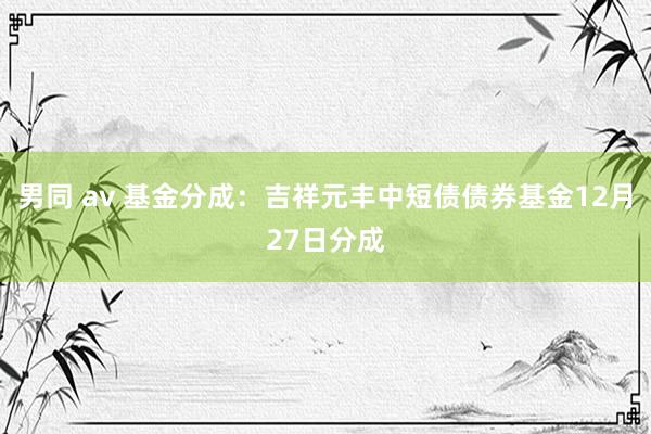 男同 av 基金分成：吉祥元丰中短债债券基金12月27日分成