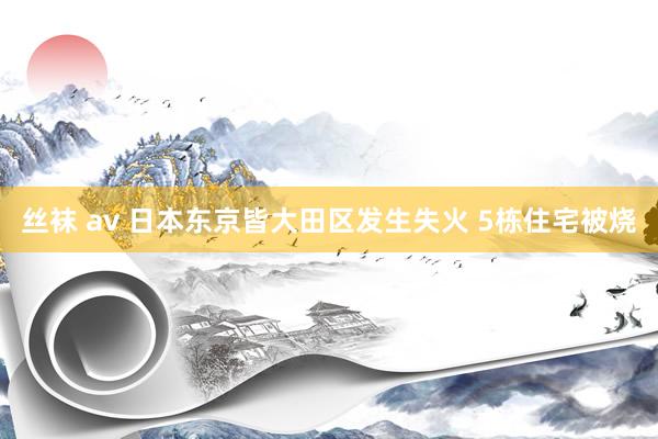 丝袜 av 日本东京皆大田区发生失火 5栋住宅被烧