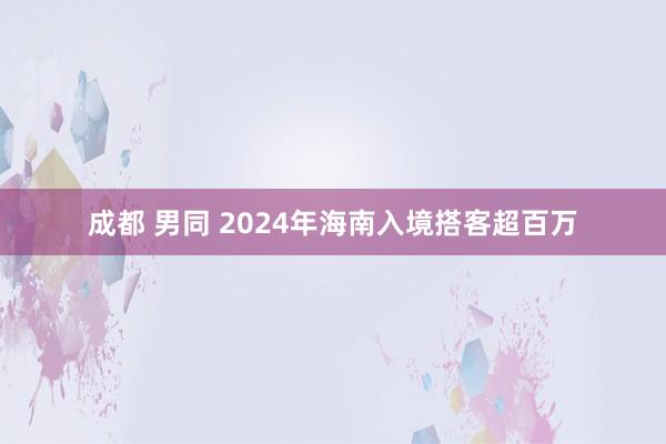 成都 男同 2024年海南入境搭客超百万