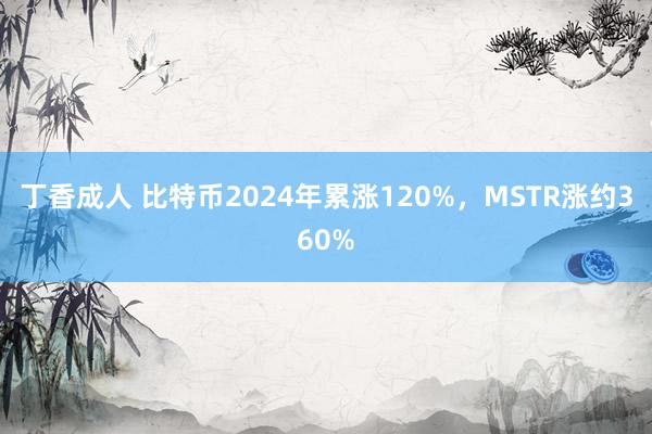 丁香成人 比特币2024年累涨120%，MSTR涨约360%