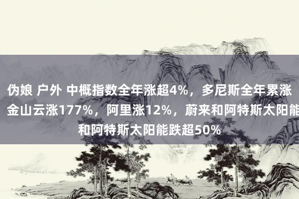 伪娘 户外 中概指数全年涨超4%，多尼斯全年累涨超790%，金山云涨177%，阿里涨12%，蔚来和阿特斯太阳能跌超50%