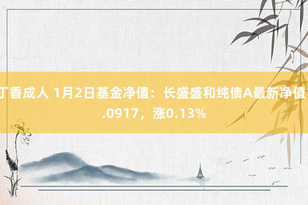 丁香成人 1月2日基金净值：长盛盛和纯债A最新净值1.0917，涨0.13%