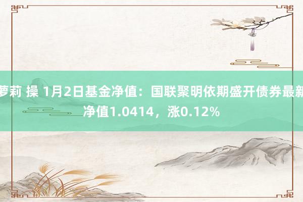 萝莉 操 1月2日基金净值：国联聚明依期盛开债券最新净值1.0414，涨0.12%