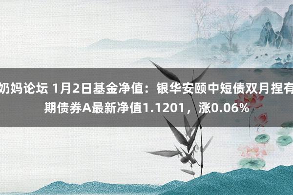 奶妈论坛 1月2日基金净值：银华安颐中短债双月捏有期债券A最新净值1.1201，涨0.06%