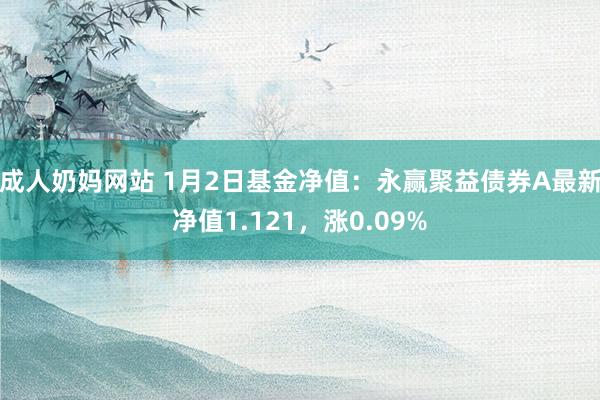 成人奶妈网站 1月2日基金净值：永赢聚益债券A最新净值1.121，涨0.09%