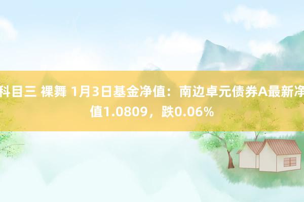 科目三 裸舞 1月3日基金净值：南边卓元债券A最新净值1.0809，跌0.06%