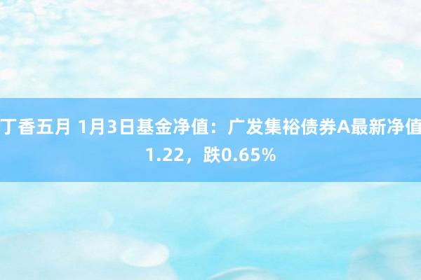 丁香五月 1月3日基金净值：广发集裕债券A最新净值1.22，跌0.65%