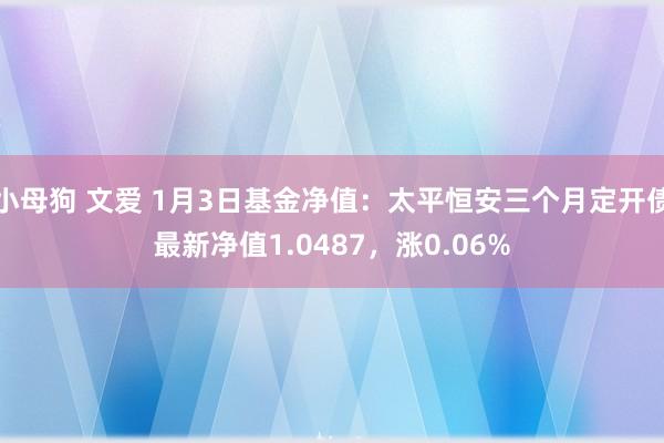 小母狗 文爱 1月3日基金净值：太平恒安三个月定开债最新净值1.0487，涨0.06%