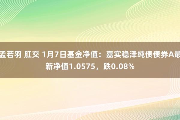 孟若羽 肛交 1月7日基金净值：嘉实稳泽纯债债券A最新净值1.0575，跌0.08%