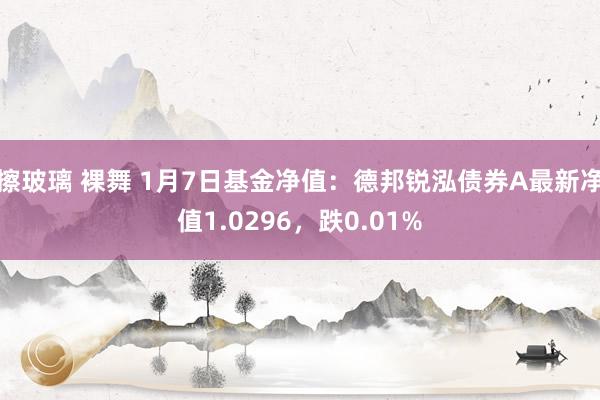 擦玻璃 裸舞 1月7日基金净值：德邦锐泓债券A最新净值1.0296，跌0.01%