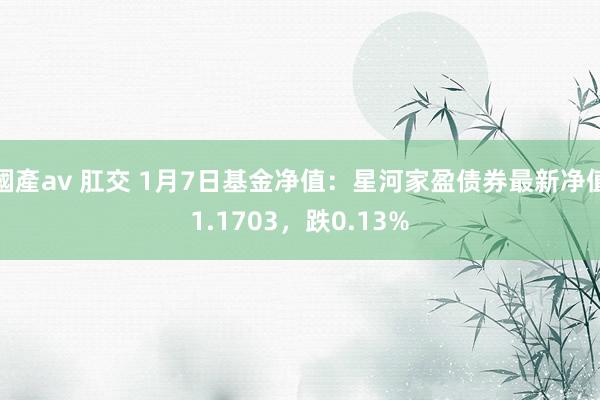 國產av 肛交 1月7日基金净值：星河家盈债券最新净值1.1703，跌0.13%