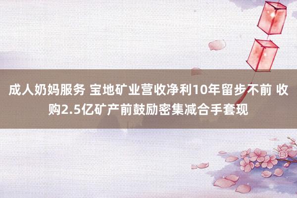 成人奶妈服务 宝地矿业营收净利10年留步不前 收购2.5亿矿产前鼓励密集减合手套现