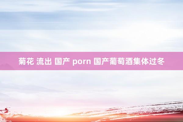 菊花 流出 国产 porn 国产葡萄酒集体过冬