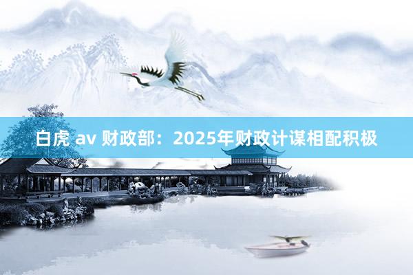 白虎 av 财政部：2025年财政计谋相配积极