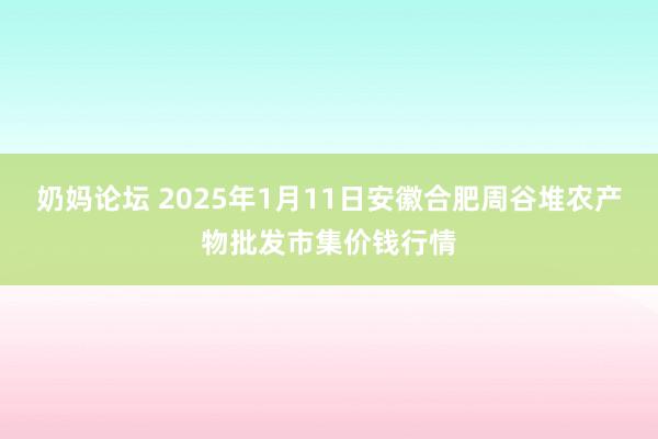 奶妈论坛 2025年1月11日安徽合肥周谷堆农产物批发市集价钱行情