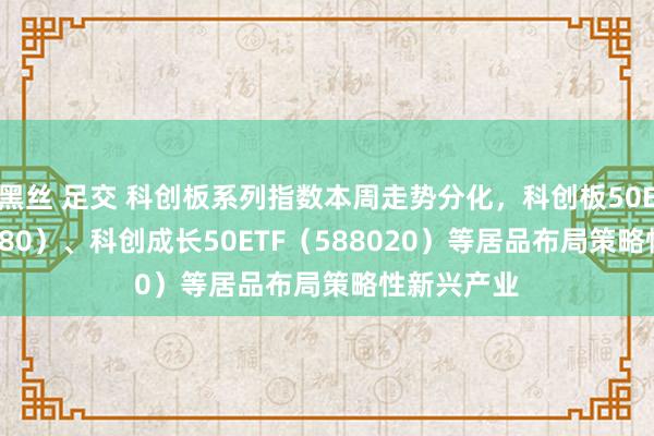 黑丝 足交 科创板系列指数本周走势分化，科创板50ETF（588080）、科创成长50ETF（588020）等居品布局策略性新兴产业