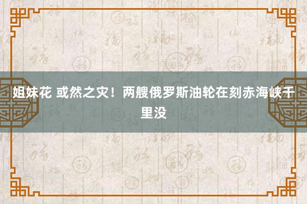 姐妹花 或然之灾！两艘俄罗斯油轮在刻赤海峡千里没