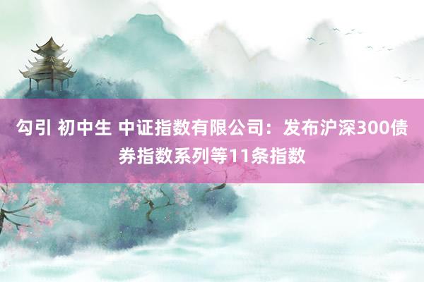 勾引 初中生 中证指数有限公司：发布沪深300债券指数系列等11条指数