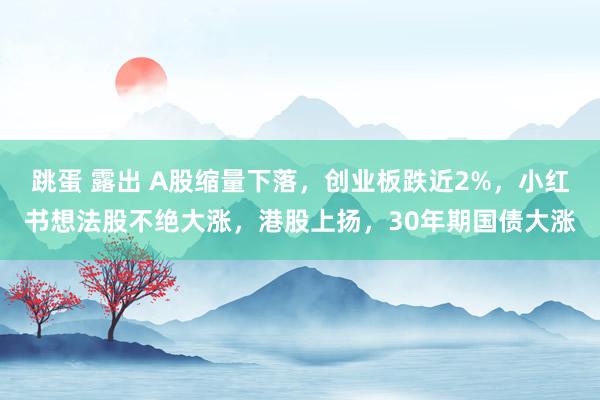 跳蛋 露出 A股缩量下落，创业板跌近2%，小红书想法股不绝大涨，港股上扬，30年期国债大涨