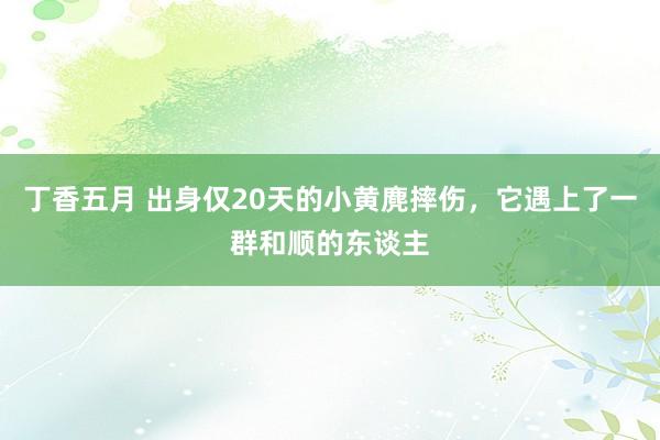 丁香五月 出身仅20天的小黄麂摔伤，它遇上了一群和顺的东谈主