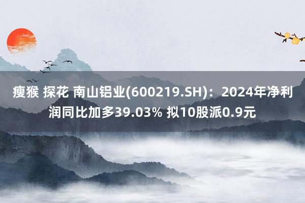 瘦猴 探花 南山铝业(600219.SH)：2024年净利润同比加多39.03% 拟10股派0.9元