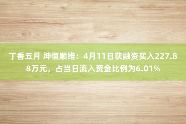 丁香五月 坤恒顺维：4月11日获融资买入227.88万元，占当日流入资金比例为6.01%